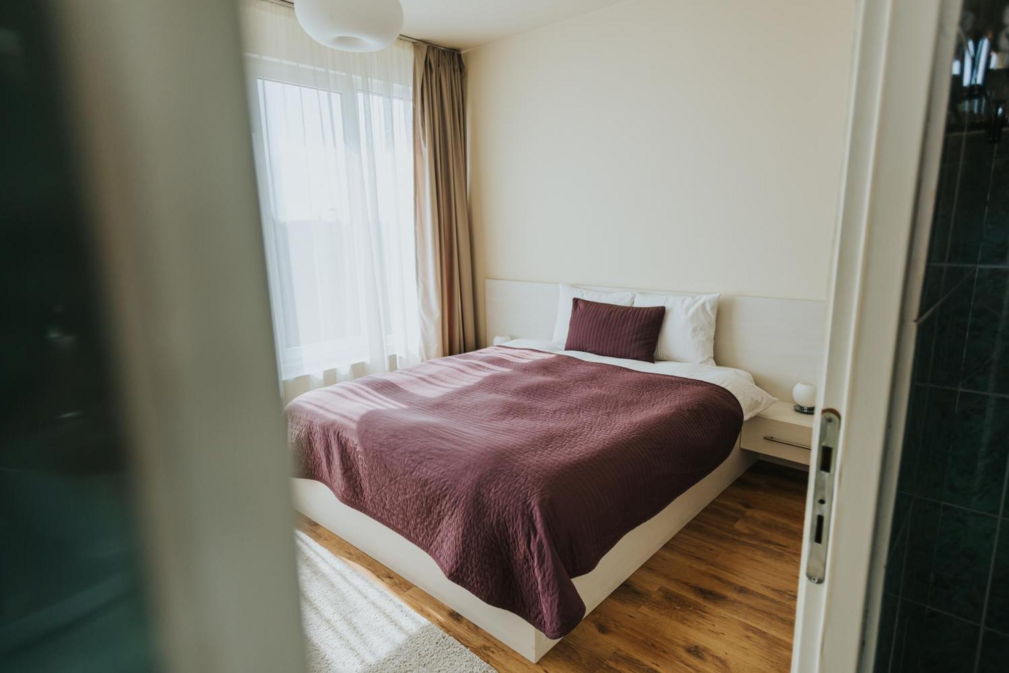 Camelia's cozy place Baia Mare Exterior foto